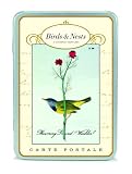 Birds and Nests Postcard set in Keepsake Tin Cavallini