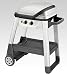Excel 100 Gas Barbecue Image