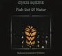 Fish Out Of Water