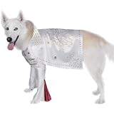 Rock Superstar Pet Halloween Costume (Small)