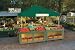 ShelterLogic Commercial Pop-Up Canopy - 12ft.L x 12ft.W, Open Top, Straight Leg, Green, Model# 22587