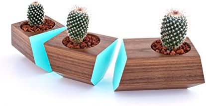 Boxcar Succulent Planters - Solid Walnut with Robin Egg Blue