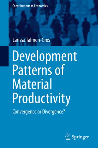 Development Patterns of Material Productivity: Convergence or Divergence? (Contributions to Economics)