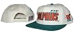 NFL Miami Dolphins Hat