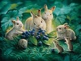 Blueberry Lunch