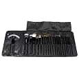 Coastal Scents 22 Piece Brush Set