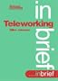 Teleworking (In Brief)