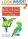 A Field Guide to the Birds of Borneo, Sumatra, Java, and Bali: The Greater Sunda Islands