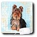 yorkshire_terrier44yorkshire terrier - Dogs Yorkshire Terrier Yorkshire Terrier Mouse Pads