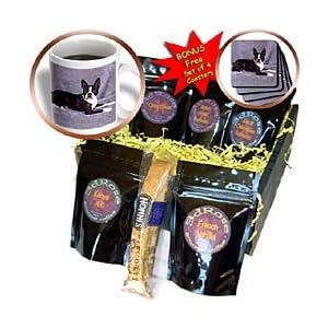 Gift Basket Boston on Boston Terrier   Boston Terrier   Coffee Gift Baskets   Coffee Gift