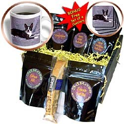 Dogs Boston Terrier - Boston Terrier - Coffee Gift Baskets - Coffee Gift Basket by Decaf Espresso Roast