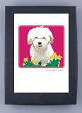 Paper Russells Coton de Tulear Boxed Note Cards - Eco-Friendly from the USA