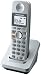 Panasonic  5.8 Ghz Silver Cordless Phone (KX-TGA600S)