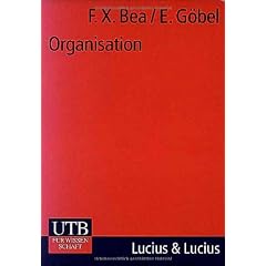 Organisation: Theorie und Gestaltung