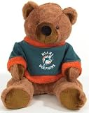 Miami Dolphins 20 Plush Bear
