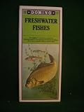 Freshwater fishes : an angler's guide in colour to British and N. European freshwater fishes of rivers, canals, lakes, reservoirs