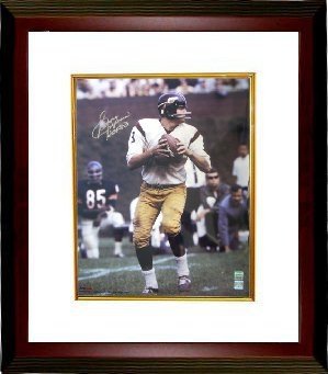 Sonny Jurgensen Autographed/Hand Signed Washington Redskins 16x20 Photo Custom Framed HOF83