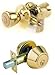 Lion Locks LICO0705 Tulip Entry Door Knob and Keyed Alike Single Cylinder Deadbolt, Polish Brass
