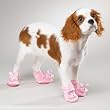Dog Slippers - Easter Bunny Dog Slippers - Dog Easter Shoes - Small