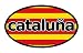 Catalonia Catalunya Flag Car Bumper Sticker Decal Oval