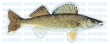 WALLEYE -Fish Decal- window sticker car truck fishing