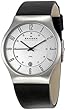 Skagen Denmark Stainless Steel Case Mens Watch 233XXLSLC
