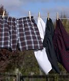 Fruit of the Loom Adult Woven Plaid Boxers