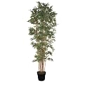 Bamboo Japonica Faux Tree- Green(84")