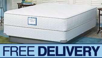 Twin Sealy PREFERRED Stonesedge Firm Mattress Set
