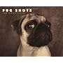 Pug Shots by Jim Dratfield