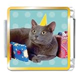 Birthday Cat Animal Photo Italian Charms Bracelet Link