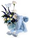 Tiny Feet Baby Boy Flower Gift Set