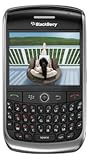 RIM Blackberry Curve 8900, Unlocked 2G GSM, 30 Day