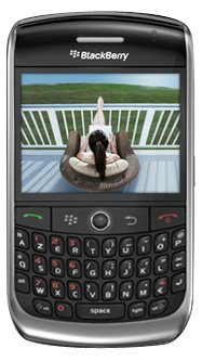 RIM Blackberry Curve 8900, Unlocked 2G GSM, 30 Day