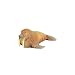 WALRUS by Schleich