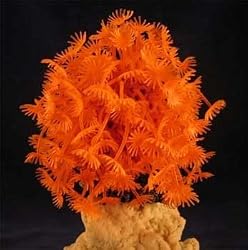Deco Art Ornament Clavularia