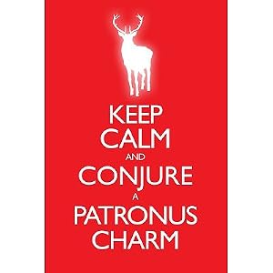 Keep Calm and Conjure a Patronus Charm Carry On Spoof Poster Print