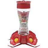 Perky-Pet 203CPBN Pinch Waist Glass Hummingbird Feeder with Free Nectar