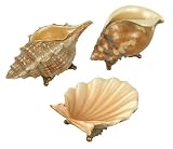 SI 91-4327 Set of 3 De La Mer Shells