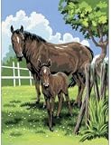 JUNIOR SMALL PAINT BY NUMBER KIT 8-3/4 X 11-3/4-MARE & FOAL