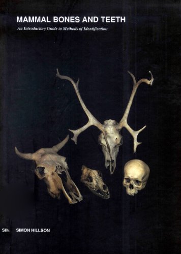 mammal bones and teeth an introductory guide to methods of identification univ col london inst arch pub