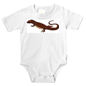 Click here to buy Onesie with australia, monitor, dragon, komodo,... by SHOPZEUS.
