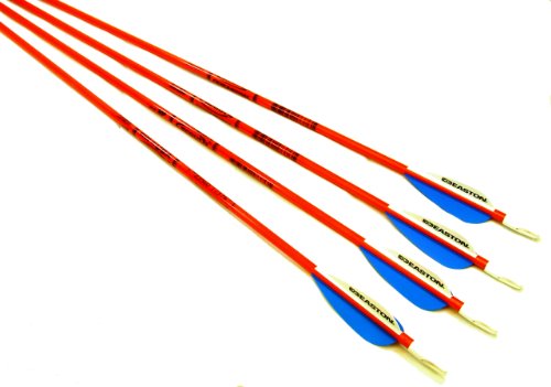 6 x Easton Scout 2 Fiberglass Archery Target Arrow Recurve Beginner 28