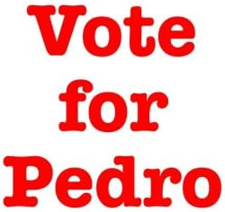 Vote for Pedro Bib