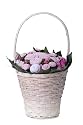 The Baby Bunch Premium Gift Basket, Pink/White, 0-6 Months