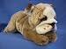 Plush Yomiko Bulldog Lg 12