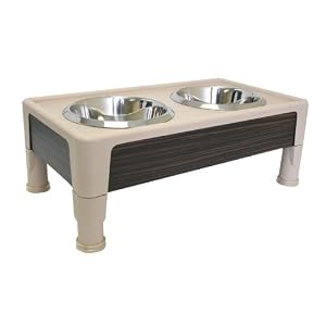Our Pets Signature Series Elevated Pet Bowls, Walnut/Beige, Diner