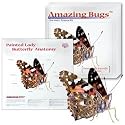Amazing Bugs-Butterfly