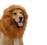 PetWell Large Dog Festival Party Fancy Dress Up Lion Mane Wig XL