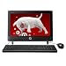Compaq Presario CQ1-1020 All-in-One PC (Black)